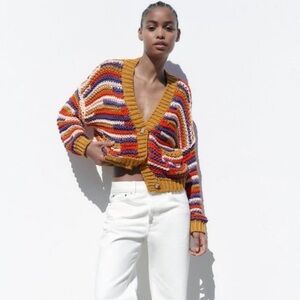 Multicolored Zara Chunky Knit Cardigan